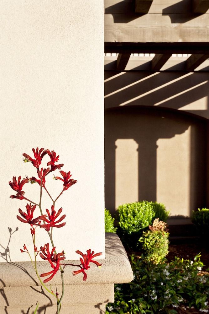 Hotel Hampton Inn&suites Arroyo Grande
